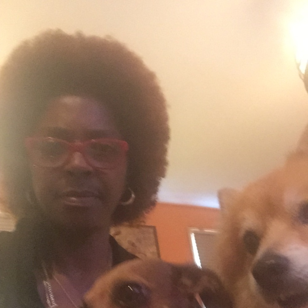 Meet your Posher, Carmella